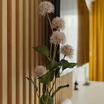 Plaza Cozy Exigent Lujerului - Free Private Parking * بوخارست